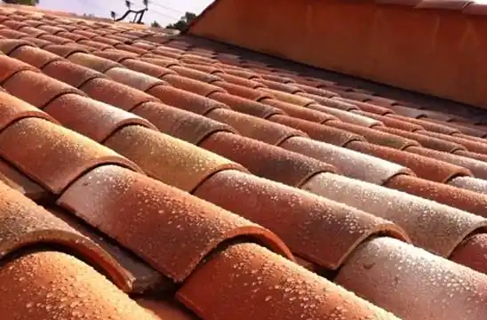 Les méthodes pour le nettoyage de toiture à Nice