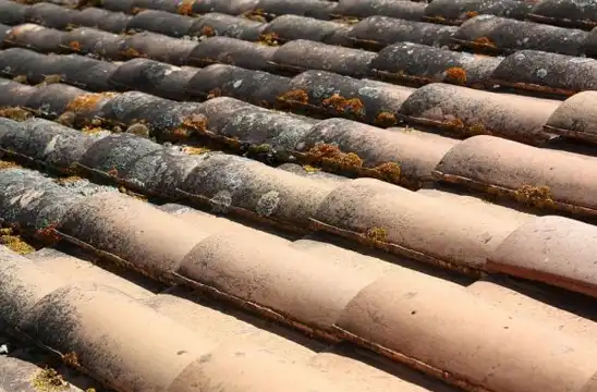 Les tarifs nettoyage et démoussage de toiture à Nice